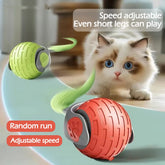 Rolling Cat Toy