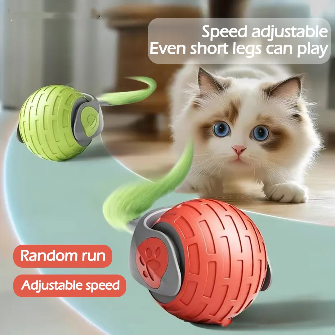 Rolling Cat Toy
