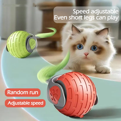 Rolling Cat Toy